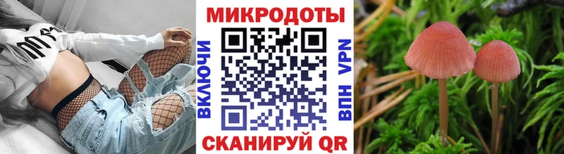 Купить  Стерлитамак  Псилоцибиновые грибы Psilocybe 