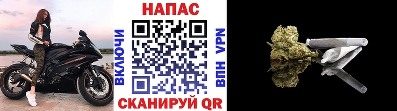 Шишки марихуана гибрид  Купить закладки  Стерлитамак 